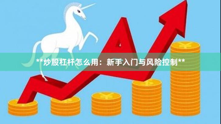 **炒股杠杆怎么用：新手入门与风险控制**